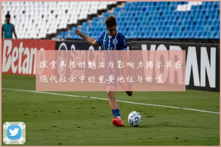 探索弗格的魅力与影响力揭示其在现代社会中的重要地位与价值