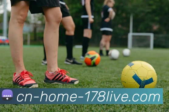 178直播服务体系